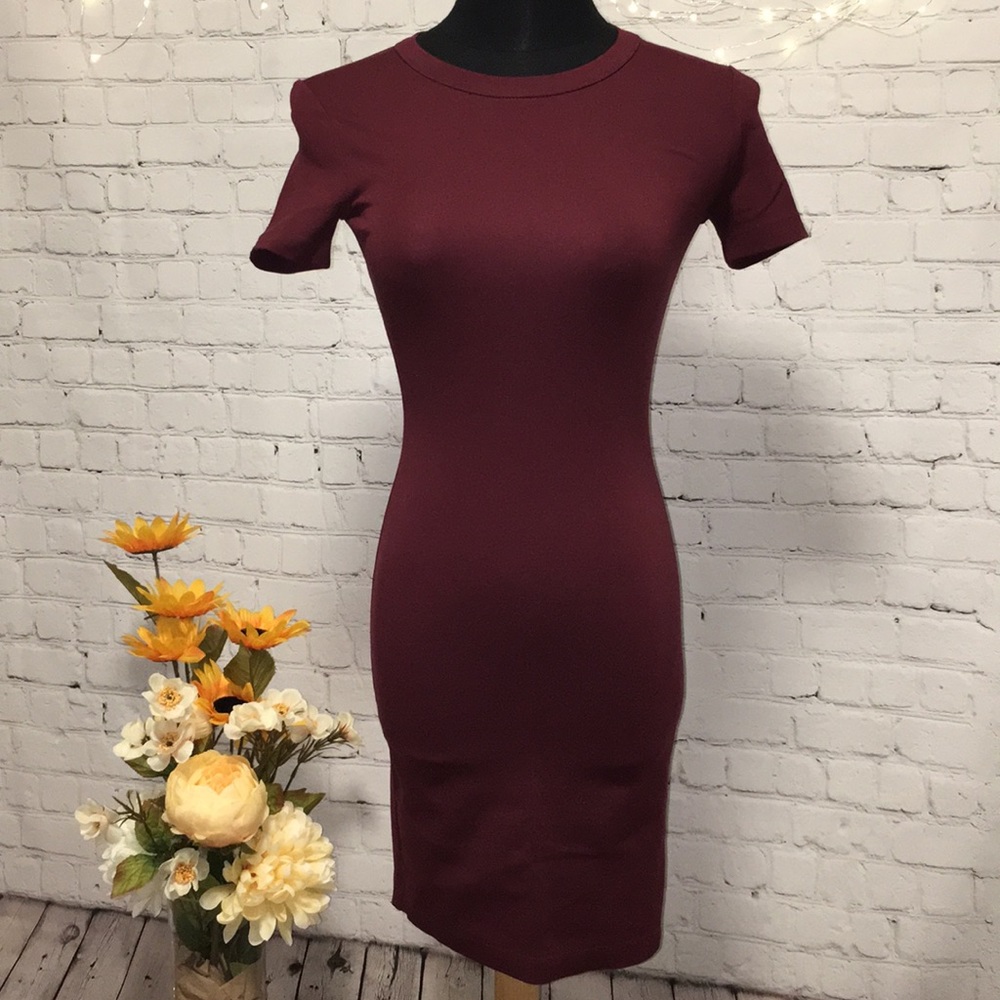 🍨 Aritzia Sunday Best Bodycon Miller Tshirt Dress